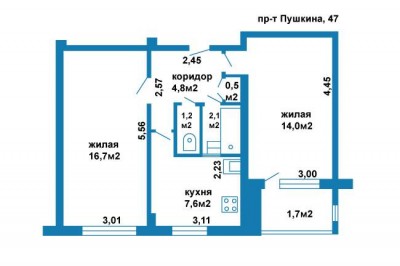 Двухкомнатная квартира по пр-ту Пушкина, 47